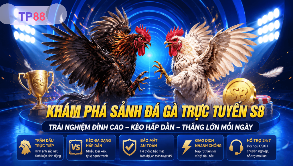 Đá Gà TP88 – Sảnh Chọi Kê Trực Tuyến, Cửa Cược Và Kinh Nghiệm 2026